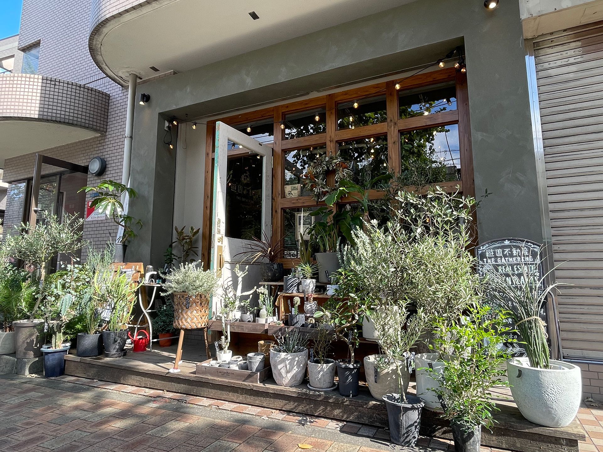 遊園不動産では観葉植物のワークショップも行っております